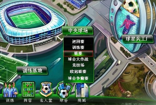 国际大